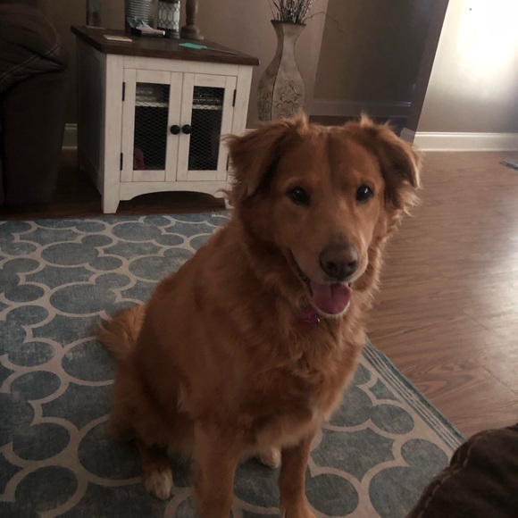 Closet Info- Please Read! - Picture 2 of 4